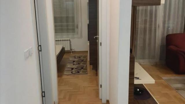 Stan, Dvosoban, Izdavanje, 55m2, Južni bulevar, Vračar, Maksima Gorkog