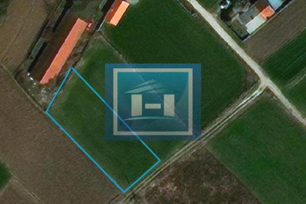 prodaja, plac,
trnava-grad-jagodina, 478932, plac