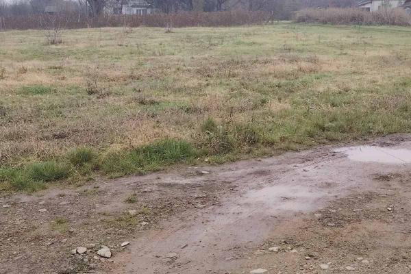 prodaja, plac,
loznica, 1001006, filipa-kljajica