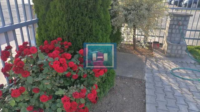 Poslovni prostor, Izdavanje, 268m2, Sarina Medja, Gradska lokacija, Jagodina