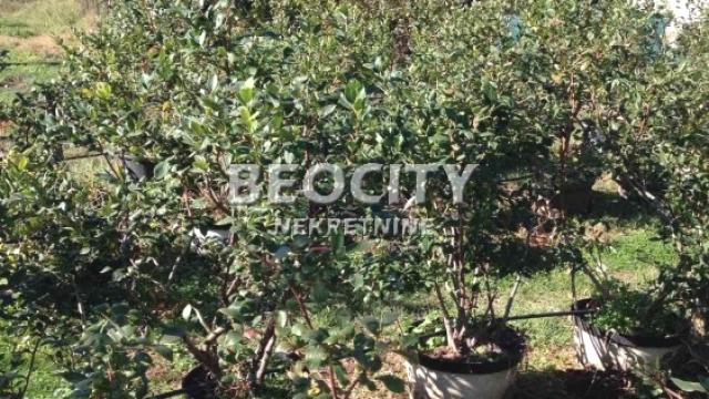 Plac, Prodaja, 6m2, Miljakovac, Rakovica, Miljakovačke staze