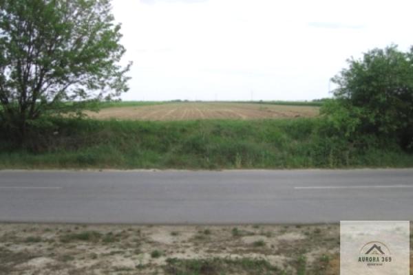 prodaja, plac,
futog-novi-sad-novi-sad, 1003405, plac