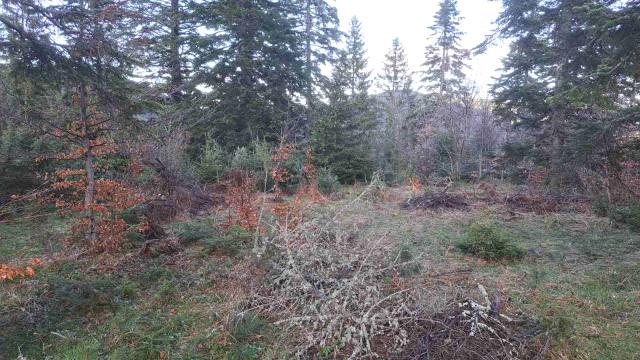 Plac, Prodaja, m2, Stublo, Okolno mesto, Stublo