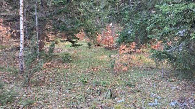 Plac, Prodaja, m2, Stublo, Okolno mesto, Stublo