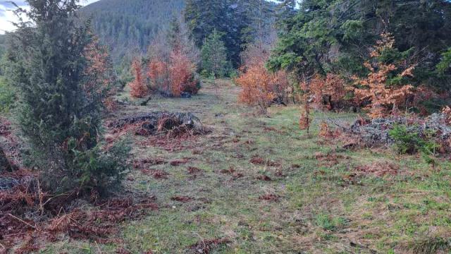 Plac, Prodaja, m2, Stublo, Okolno mesto, Stublo