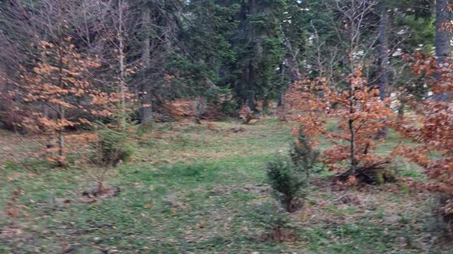 Plac, Prodaja, m2, Stublo, Okolno mesto, Stublo