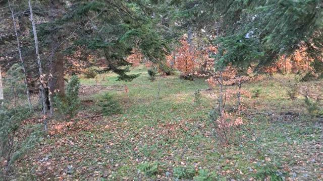 Plac, Prodaja, m2, Stublo, Okolno mesto, Stublo