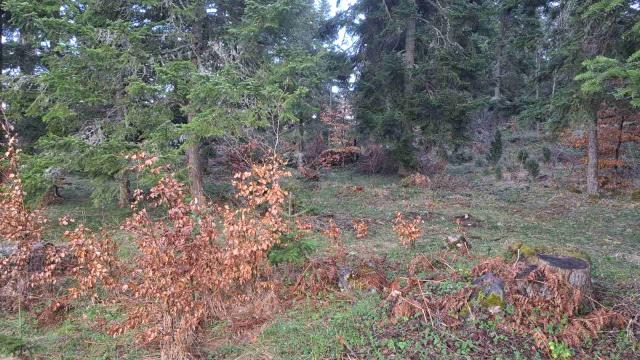 Plac, Prodaja, m2, Stublo, Okolno mesto, Stublo