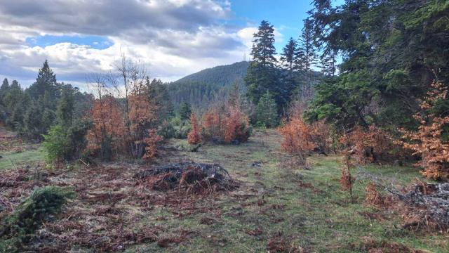 Plac, Prodaja, m2, Stublo, Okolno mesto, Stublo