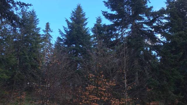 Plac, Prodaja, m2, Stublo, Okolno mesto, Stublo