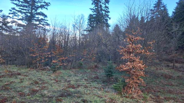 Plac, Prodaja, m2, Stublo, Okolno mesto, Stublo