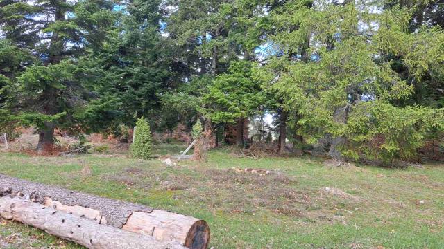 Plac, Prodaja, m2, Stublo, Okolno mesto, Stublo