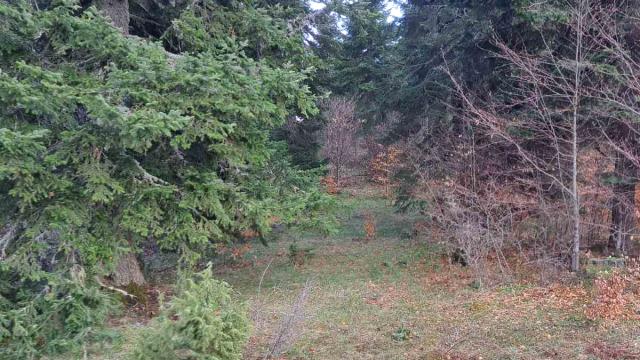 Plac, Prodaja, m2, Stublo, Okolno mesto, Stublo