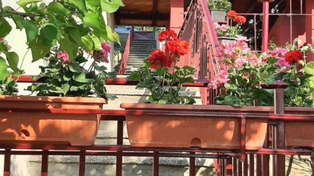 Kuća, Petosoban, Prodaja, 220m2, Sremska Kamenica, Petrovaradin, Novi Sad