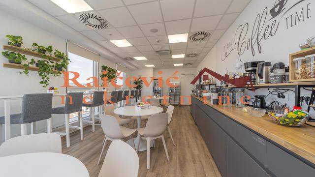 Poslovni prostor, Izdavanje, 289m2, Tašmajdan, Palilula, Starine Novaka