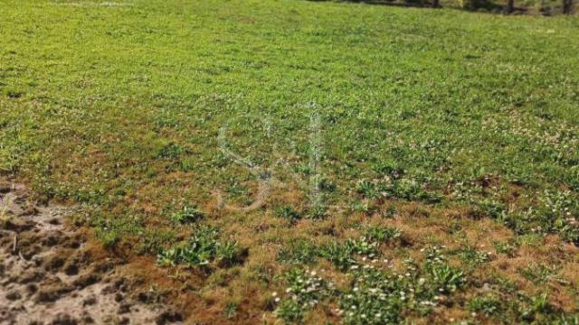 Kuća, Trosoban, Prodaja, 217m2, Čonoplja, Okolno mesto, Sombor