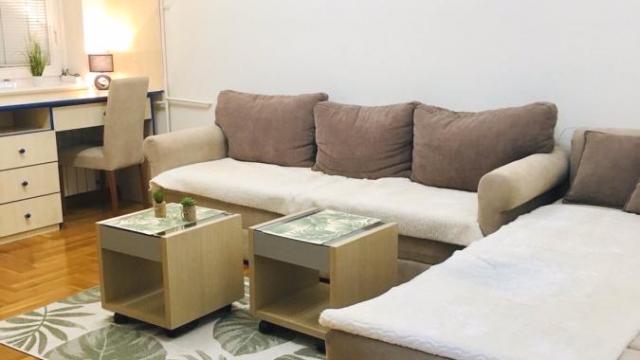 Stan, Dvosoban, Izdavanje, 43m2, Hotel Jugoslavija, Novi Beograd, Klare Cetkin