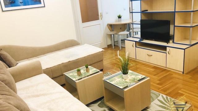 Stan, Dvosoban, Izdavanje, 43m2, Hotel Jugoslavija, Novi Beograd, Klare Cetkin