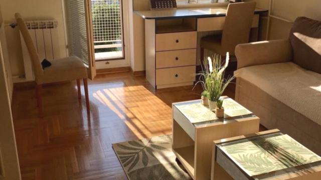 Stan, Dvosoban, Izdavanje, 43m2, Hotel Jugoslavija, Novi Beograd, Klare Cetkin