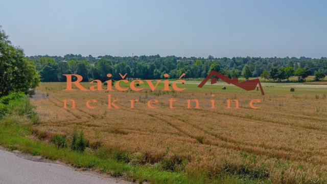 Plac, Prodaja, 16400m2, Mladenovac selo, Mladenovac, Mihaila Badzaka