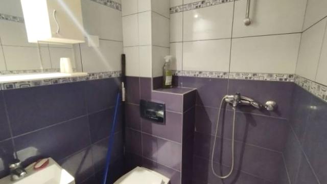 Stan, Garsonjera, Izdavanje, 25m2, Jovana Avakumovića