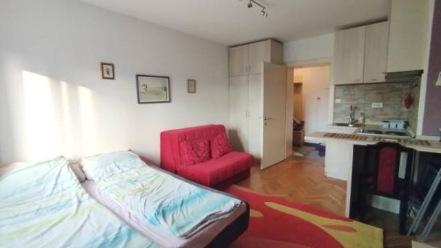 Stan, Garsonjera, Izdavanje, 25m2, Jovana Avakumovića