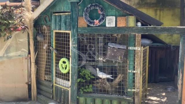 Kuća, Prodaja, 195m2, Širi centar, Gradska lokacija, Apatin