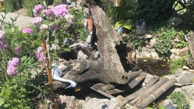 Kuća, Prodaja, 195m2, Širi centar, Gradska lokacija, Apatin