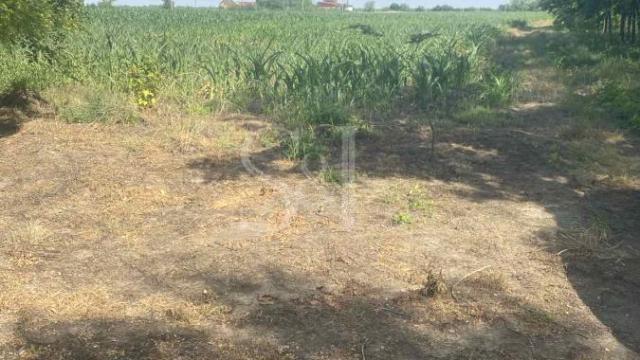 Plac, Prodaja, m2, Bilić, Okolno mesto, Sombor