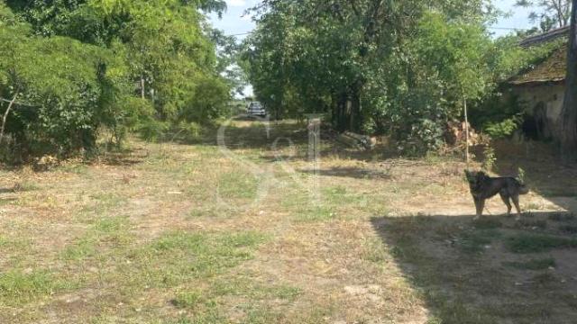 Plac, Prodaja, m2, Bilić, Okolno mesto, Sombor