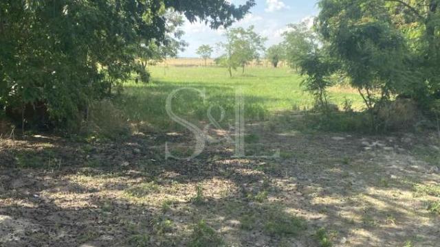 Plac, Prodaja, m2, Bilić, Okolno mesto, Sombor