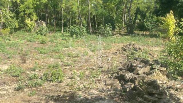 Plac, Prodaja, m2, Bilić, Okolno mesto, Sombor