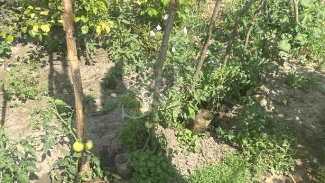 Plac, Prodaja, m2, Bilić, Okolno mesto, Sombor