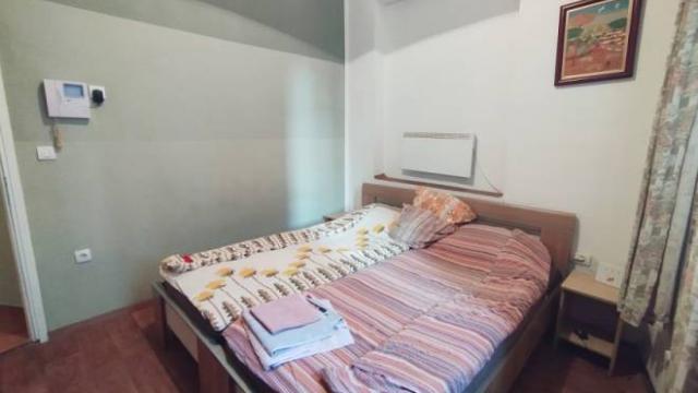 Stan, Jednosoban, Izdavanje, 20m2, Bulevar despota Stefana