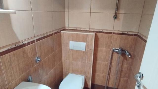 Stan, Jednosoban, Izdavanje, 20m2, Bulevar despota Stefana