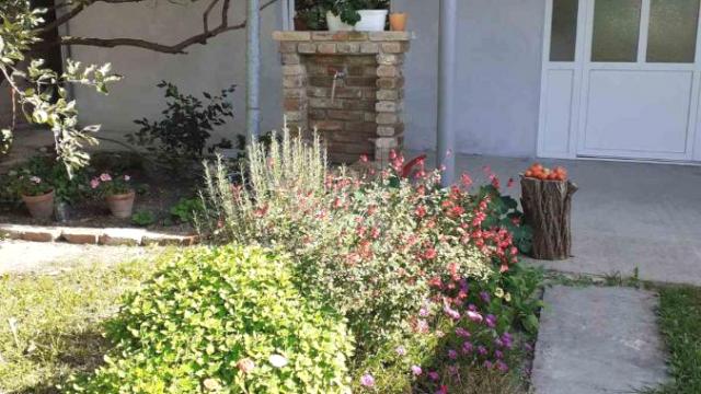 Kuća, Prodaja, 178m2, Kupusina, Okolno mesto, Apatin