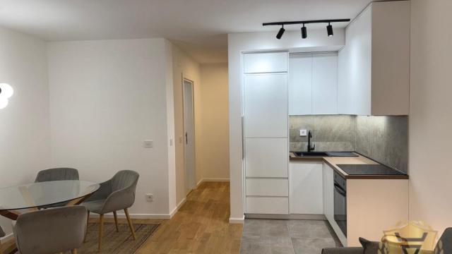 Stan, Jednoiposoban, Izdavanje, 44m2, Bogoslovija, Palilula, Dragoslava Srejovica