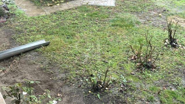 Kuća, Prodaja, 215m2, Mlake, Gradska lokacija, Sombor