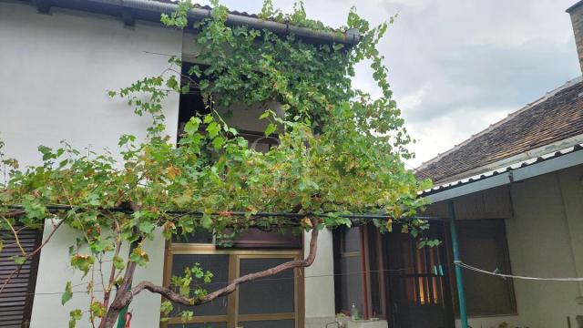 Kuća, Petosoban, Prodaja, 282m2, Josićko naselje, Gradska lokacija, Sombor