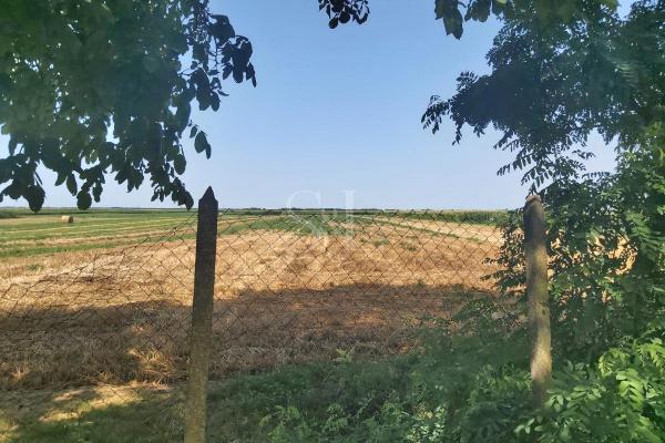 prodaja, kuca,
lugomerci-opstina-sombor, 402359, kuca