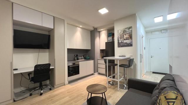 Stan, Jednosoban, Izdavanje, 30m2, Beograd na vodi, Savski venac, Bulevar Vudroa Vilsona