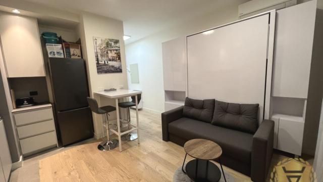 Stan, Jednosoban, Izdavanje, 30m2, Beograd na vodi, Savski venac, Bulevar Vudroa Vilsona