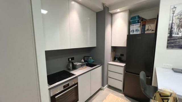 Stan, Jednosoban, Izdavanje, 30m2, Beograd na vodi, Savski venac, Bulevar Vudroa Vilsona