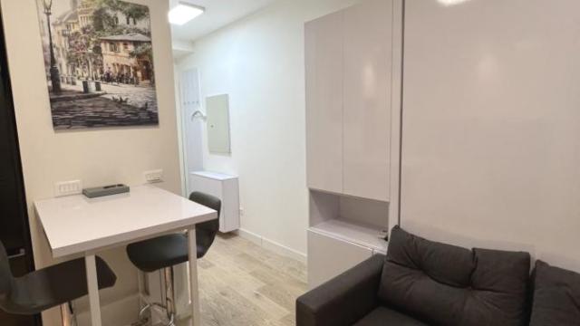 Stan, Jednosoban, Izdavanje, 30m2, Beograd na vodi, Savski venac, Bulevar Vudroa Vilsona