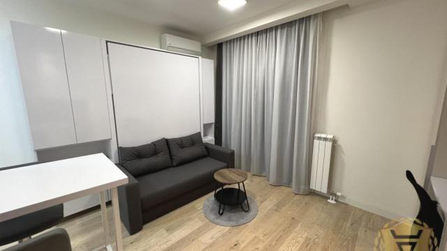 Stan, Jednosoban, Izdavanje, 30m2, Beograd na vodi, Savski venac, Bulevar Vudroa Vilsona