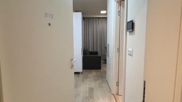 Stan, Jednosoban, Izdavanje, 30m2, Beograd na vodi, Savski venac, Bulevar Vudroa Vilsona