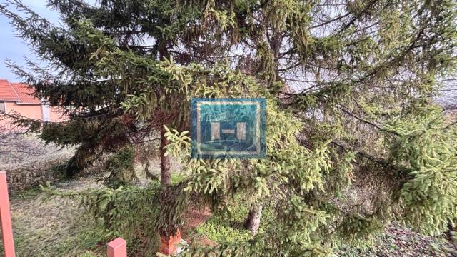 Kuća, Prodaja, 300m2, Budžino brdo, Gradska lokacija, Jagodina