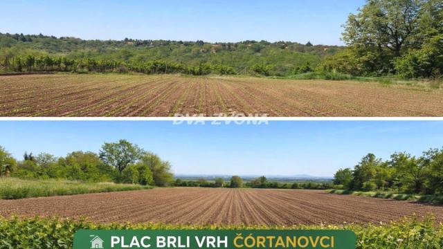 Plac, Prodaja, m2, Čortanovci, Okolno mesto, Indjija