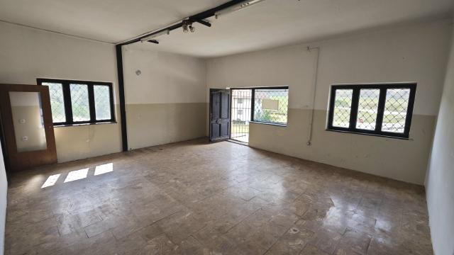 Poslovni prostor, Petosoban, Prodaja, 267m2, Negbina, Okolno mesto, Negbina