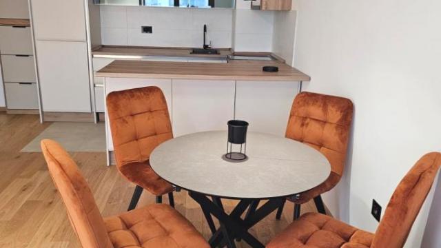 Stan, Dvosoban, Izdavanje, 55m2, Centar, Palilula, Dragoslava Srejovića